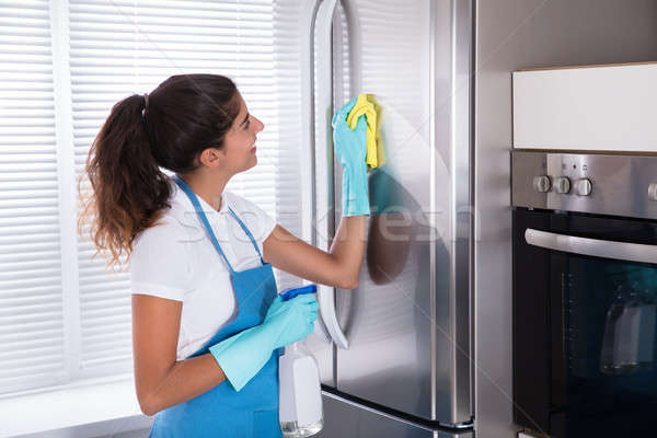 Mujer limpieza acero inoxidable refrigerador feliz tela Foto stock © AndreyPopov