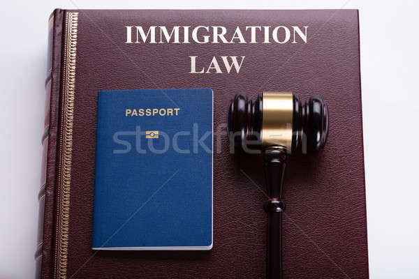 Közelkép kalapács útlevél törvény könyv iroda Stock fotó © AndreyPopov