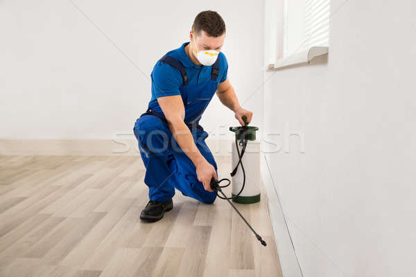 Worker Spraying Pesticide At Home Stock photo © AndreyPopov