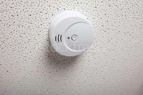 Fum detector tavan vedere alb Imagine de stoc © AndreyPopov