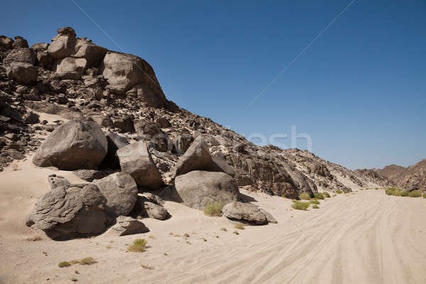 Stock photo: Tire Track On Desert