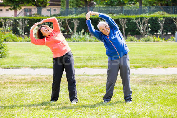 Senior Couple Exercising Stock photo © AndreyPopov