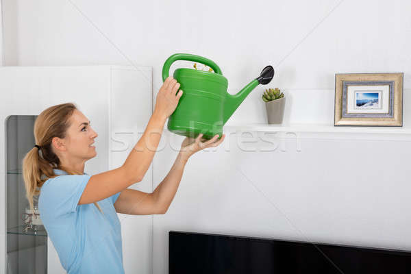 Woman Watering Plant At Home Stock photo © AndreyPopov