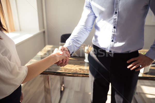 Two Businesspeople Shaking Hands Stock photo © AndreyPopov