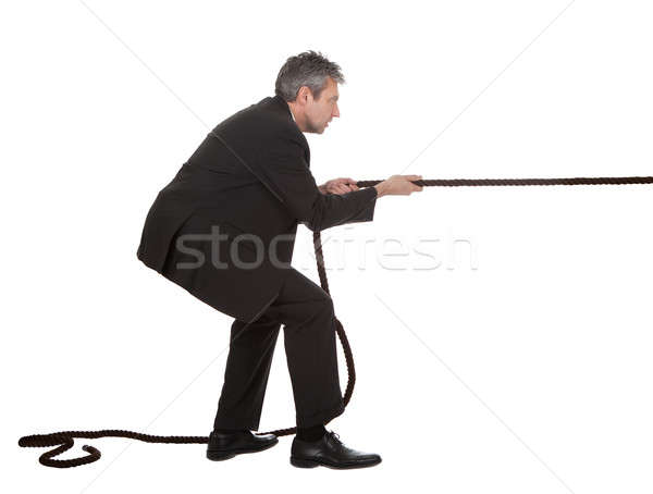 Senior businessmen pulling a rope Stock photo © AndreyPopov