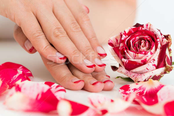 Female Hands With Nail Varnish Near The Rose Stock photo © AndreyPopov
