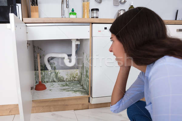 Woman Looking At Mold In Cabinet Area Stock photo © AndreyPopov