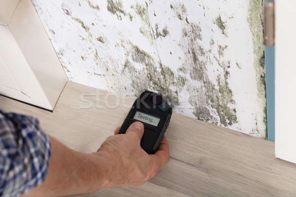 Person Hand Testing The Moldy Wall Stock photo © AndreyPopov