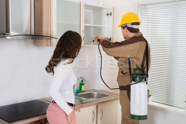 Woman Standing Near The Worker Spraying Pesticide On Shelf Stock photo © AndreyPopov
