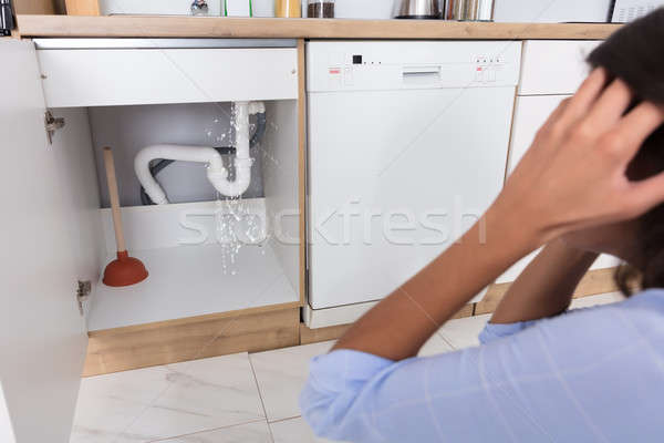 Woman Looking At Leaking Sink Pipe Stock photo © AndreyPopov