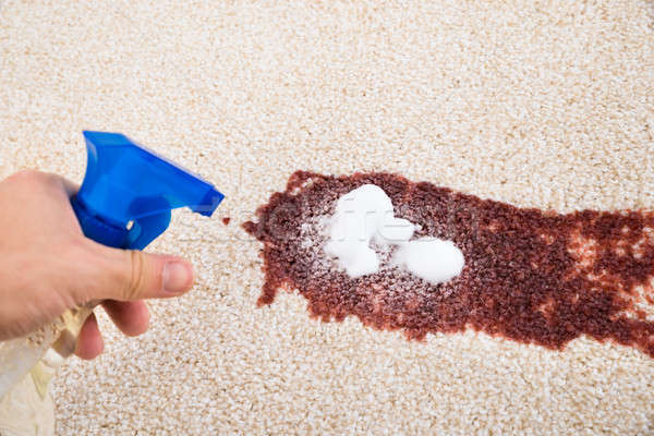 Person Spraying Cleaning Agent On Carpet Stock photo © AndreyPopov