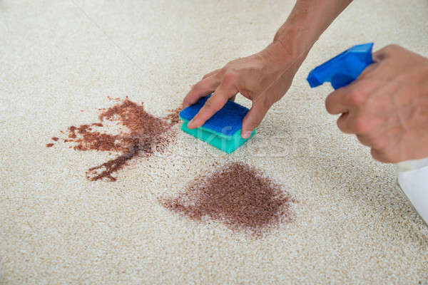 Stockfoto: Man · schoonmaken · vlek · tapijt · spons · afbeelding