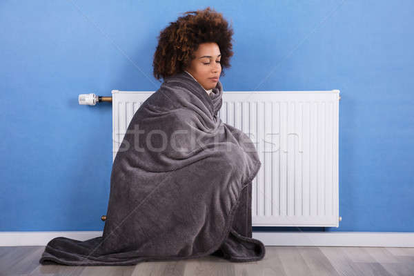 Vrouw vergadering verwarming home jonge vrouw deken Stockfoto © AndreyPopov