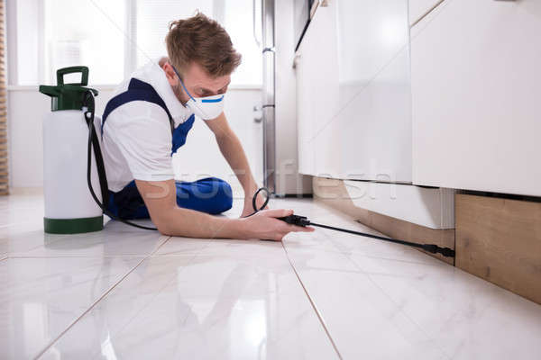 Exterminator Worker Spraying Insecticide Chemical Stock photo © AndreyPopov