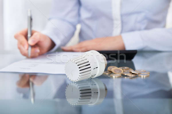 üzletember számla közelkép fotó üzletember nő Stock fotó © AndreyPopov