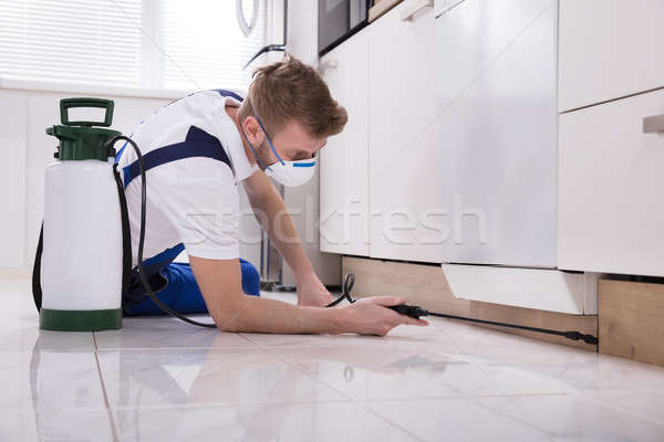 Trabajador químicos jóvenes masculina cocina casa Foto stock © AndreyPopov
