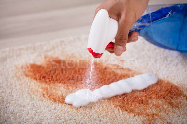 Foto stock: Aerosol · botella · limpieza · mancha · alfombra