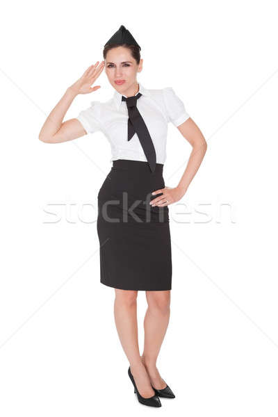 Stock foto: Porträt · schönen · Stewardess · anspruchsvoll · stylish · isoliert