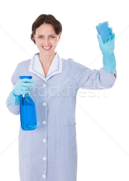 Woman Holding Cleaning Liquid And Scrubber Stock photo © AndreyPopov