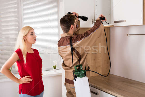 Male Worker Spraying Pesticide On Shelf In Kitchen Stock photo © AndreyPopov