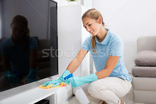 Woman Cleaning The Furniture Of Living Room Stock photo © AndreyPopov