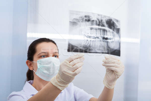 Female Dentist Looking At Dental Xray Stock photo © AndreyPopov