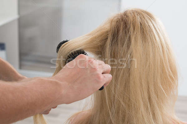 Hairstylist Brushing Woman's Hair Stock photo © AndreyPopov