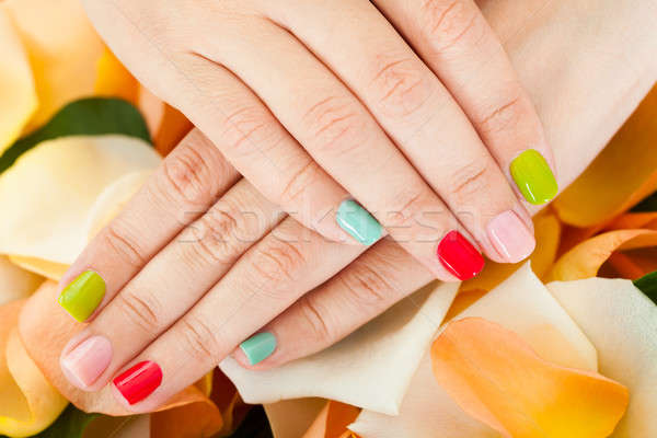 Female Hand On Flower Stock photo © AndreyPopov