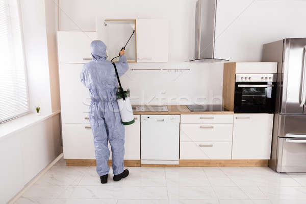 Pest Control Worker Spraying Pesticide On Shelf Stock photo © AndreyPopov