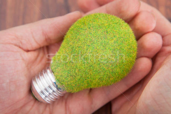 Person's Hand Holding Bulb Stock photo © AndreyPopov