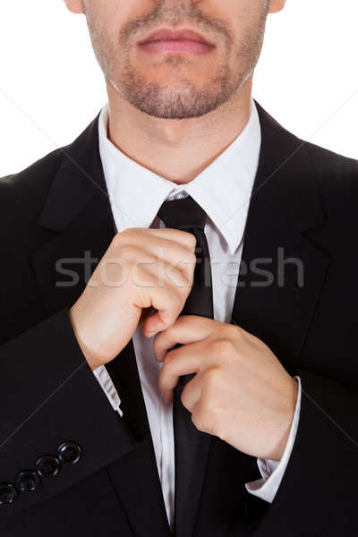 Businessman straightening his tie Stock photo © AndreyPopov