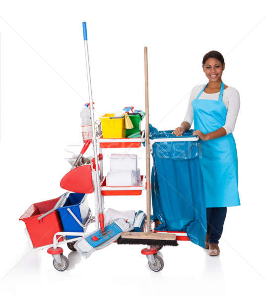 Female Cleaner With Cleaning Equipment Stock photo © AndreyPopov