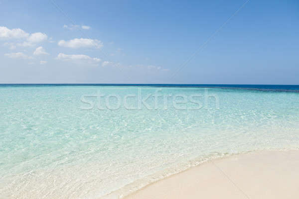 спокойный мнение пляж волны песок небе Сток-фото © AndreyPopov