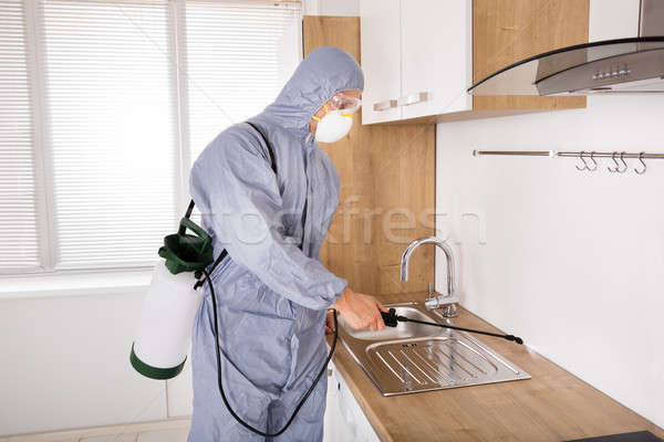 Pest Control Worker Spraying Pesticide In Kitchen Stock photo © AndreyPopov