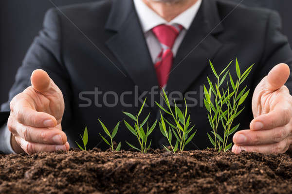 üzletember növények közelkép fotó férfi zöld Stock fotó © AndreyPopov