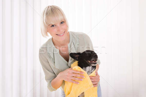 Stock photo: Woman Wiping Her Dog With Towel