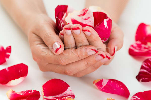 Női kezek szög fényezés tart rózsaszirmok Stock fotó © AndreyPopov