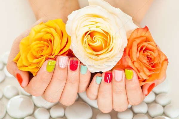 Female Hand On Flower Stock photo © AndreyPopov