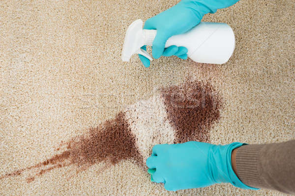 Man Spray Bottle And Sponge Cleaning Red Wine On Rug Stock photo © AndreyPopov