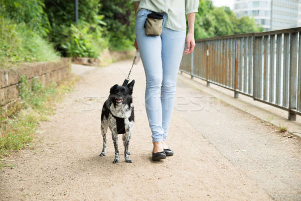 Woman Walking With Her Dog Stock photo © AndreyPopov