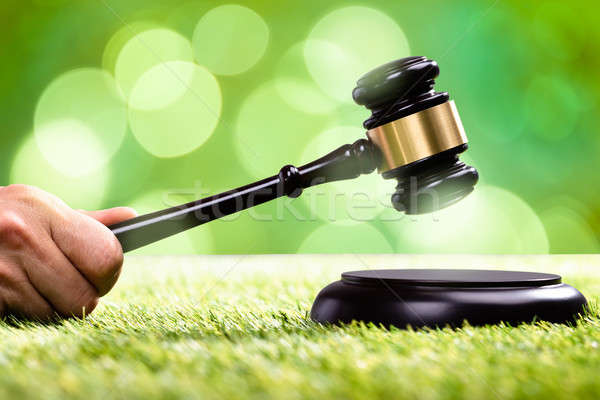 Person Striking Gavel On Sounding Block Stock photo © AndreyPopov