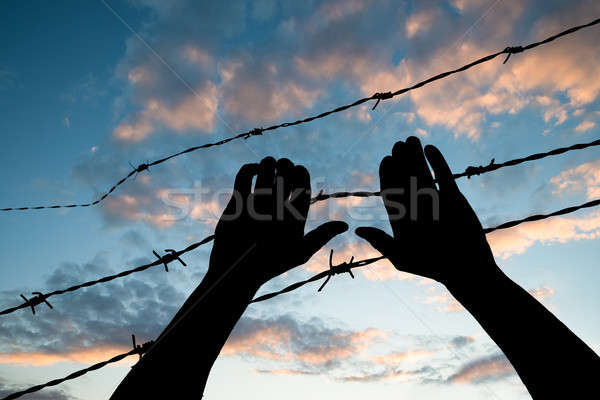 Refugee Holding Barbed Wire Fence Stock photo © AndreyPopov
