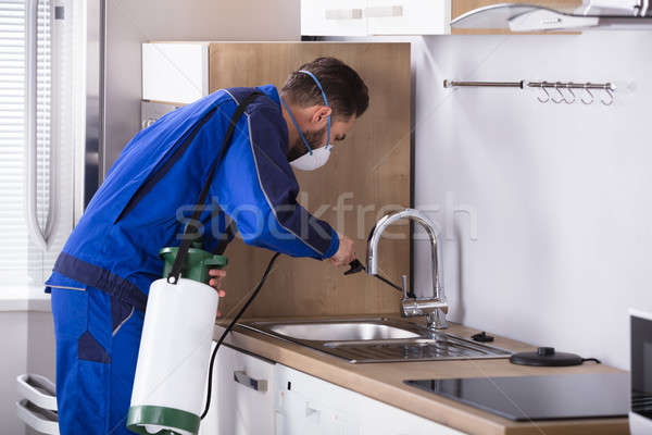 Bogárirtás munkás konyha egyenruha ház férfi Stock fotó © AndreyPopov