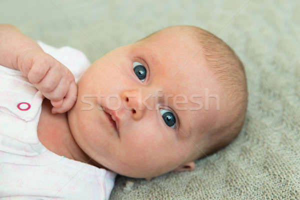 невинный ребенка портрет фото прелестный шерсти Сток-фото © AndreyPopov