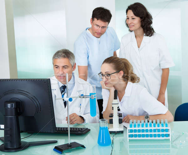 Teknik personel laboratuvar birlikte bakıyor bilgisayar Stok fotoğraf © AndreyPopov