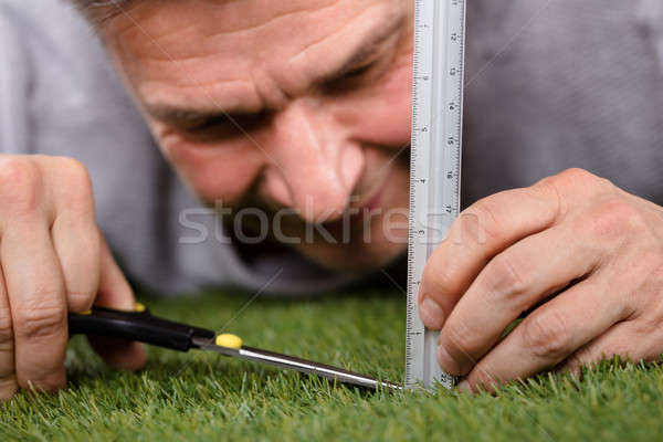 Man schaal gras Stockfoto © AndreyPopov