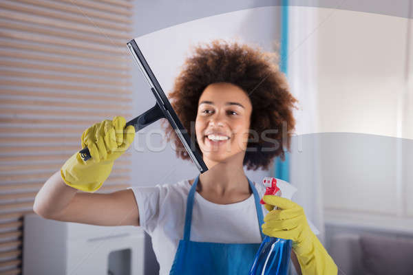 Woman Cleaning Glass Window With Squeegee Stock photo © AndreyPopov