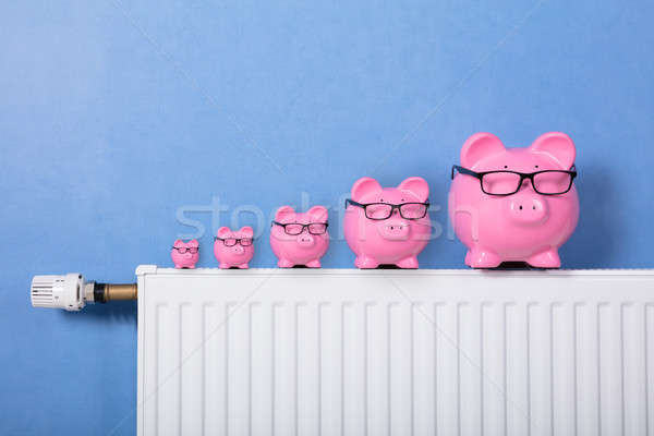 Rózsaszín malac bankok radiátor visel szemüveg Stock fotó © AndreyPopov