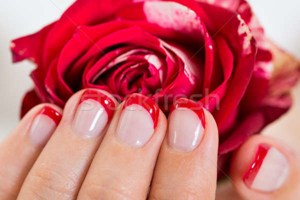 Manicured Nail With Nail Varnish Holding Rose Stock photo © AndreyPopov