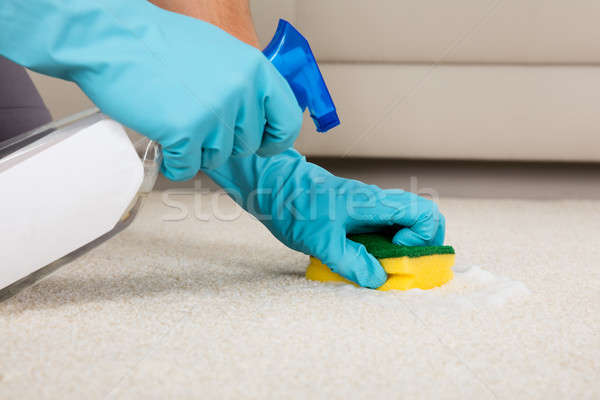Personne nettoyage tapis détergent spray bouteille [[stock_photo]] © AndreyPopov